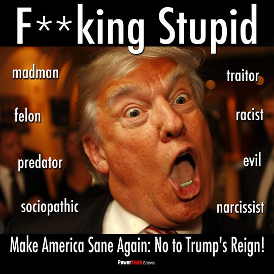 Make America Sane Again